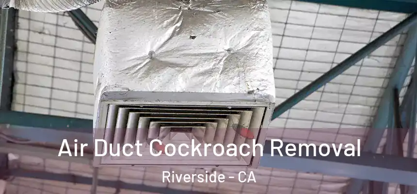 Air Duct Cockroach Removal Riverside - CA