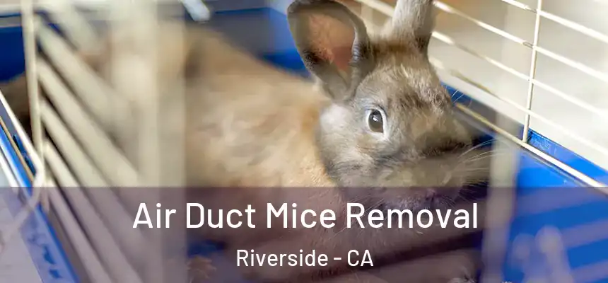 Air Duct Mice Removal Riverside - CA