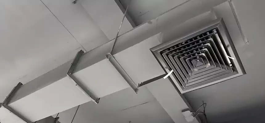 Our Rodent Droppings In Vents Services in Riverside, CA