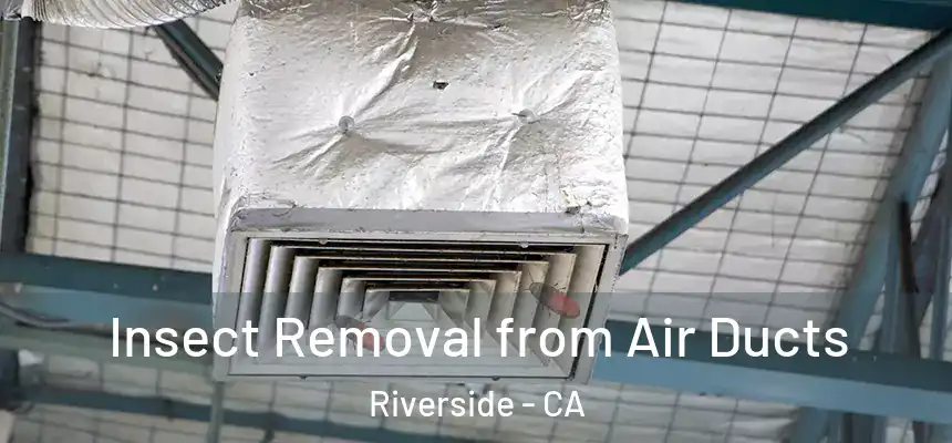 Insect Removal from Air Ducts Riverside - CA