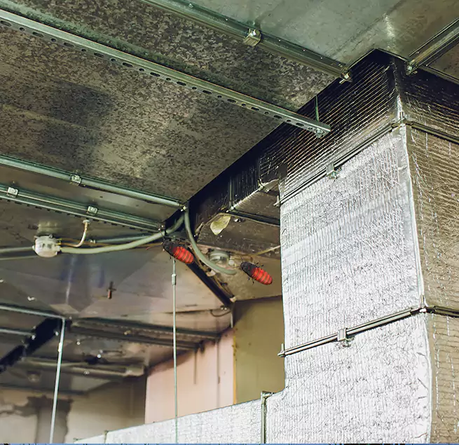 Why Homeowners & Businesses Trust Us in Riverside, CA?