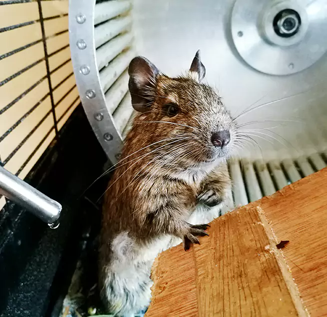 Why Homeowners & Businesses Trust Us Riverside, CA