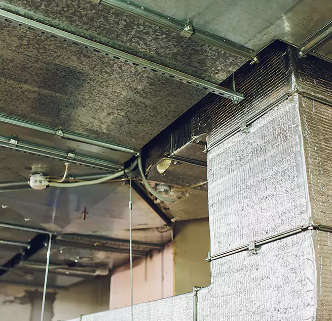 Why Homeowners & Businesses Trust Us in Riverside, CA?